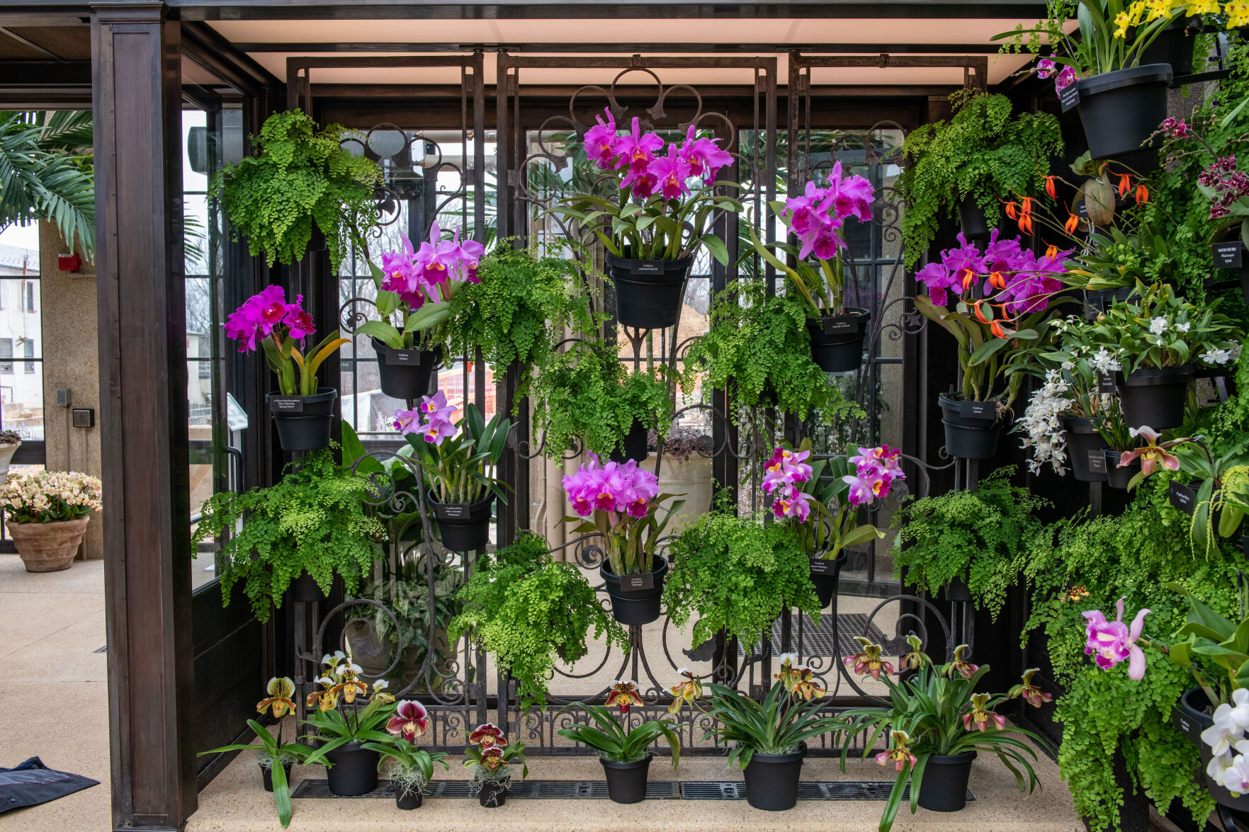 House of Orchids Longwood Gardens